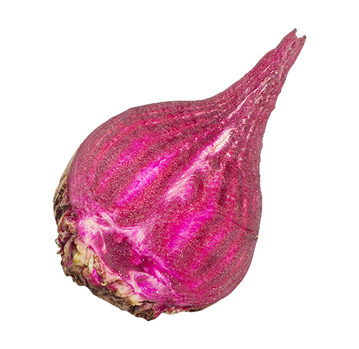 Beet info-b